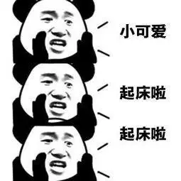 叫女朋友起床的表情包合集小仙女起床啦