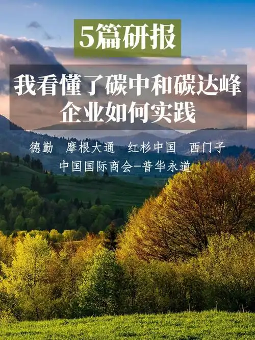 5篇重磅报告碳中和碳达峰企业如何实践