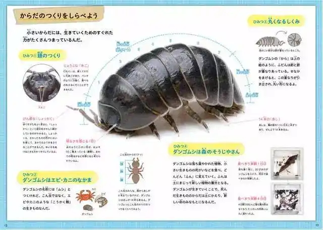 日本东京玩具这款产品火了:巨型潮虫直接滚出扭蛋机!