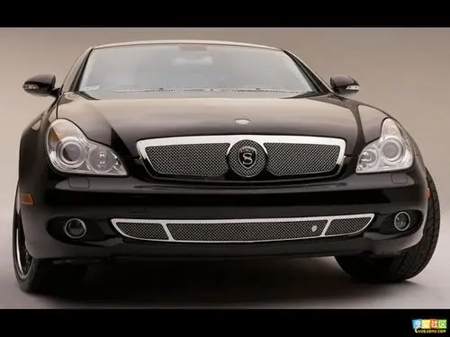 大家看看strut盾形标志s标志这是什么车我怎么就查不到