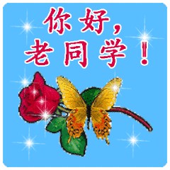 240_240gif 动态图 动图