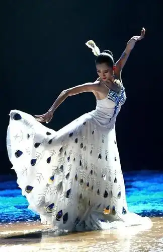 侨胞宅家不无聊!走进瑰丽的民族舞宝库——婀娜多姿的傣族舞