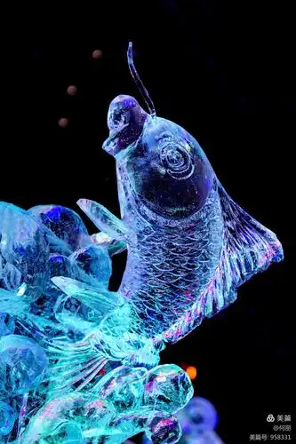 哈尔滨特产—冰灯