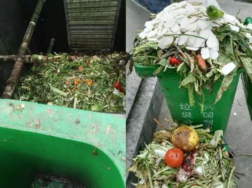 太阳能垃圾房堆肥仓情况(3月15日)