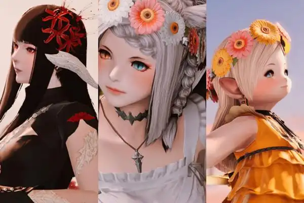 ff14种族介绍ff14种族职业搭配