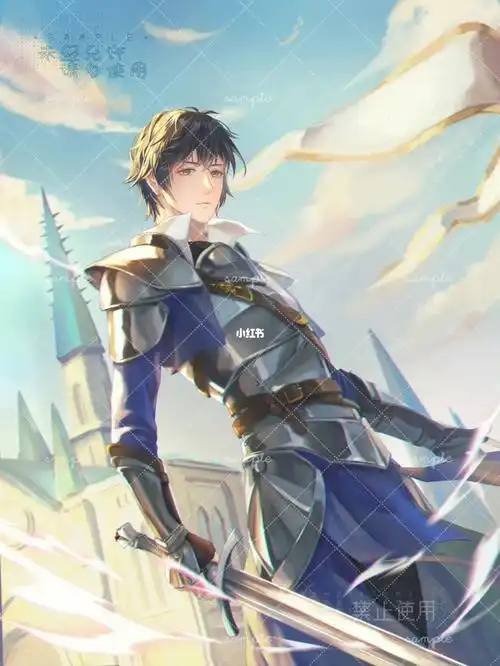 接稿作品二次元成男骑士