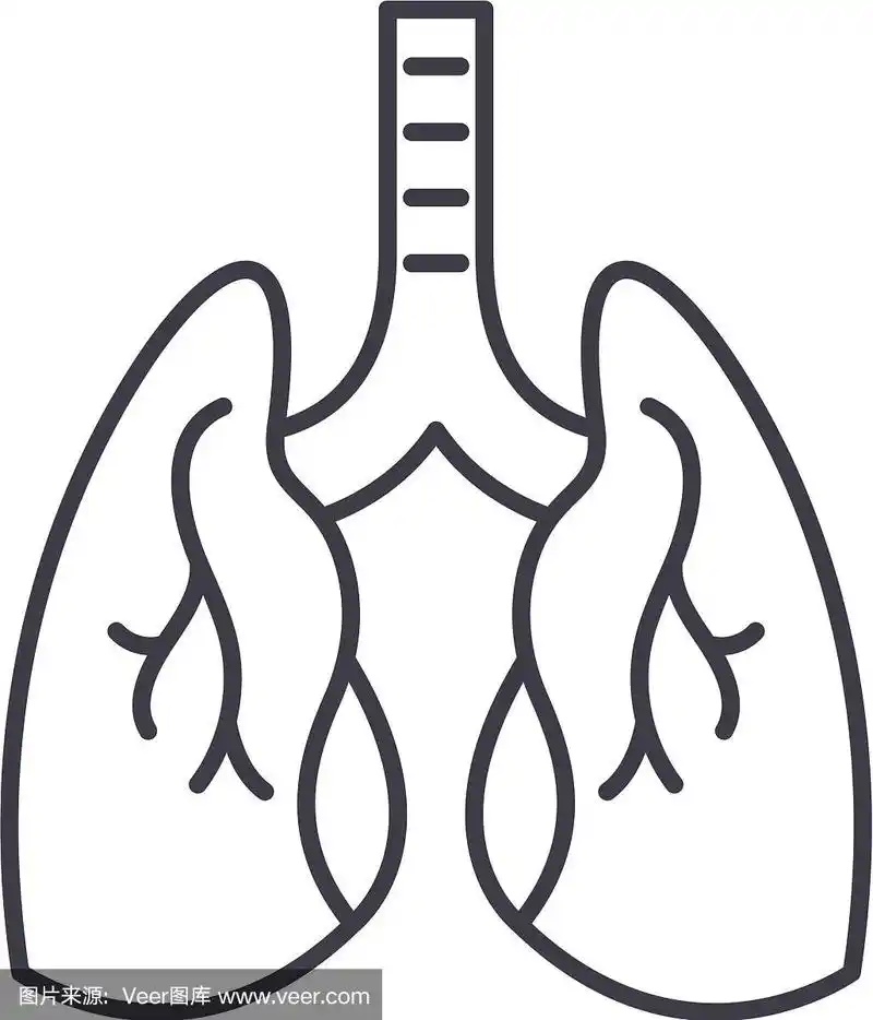 肺线图标概念肺线
