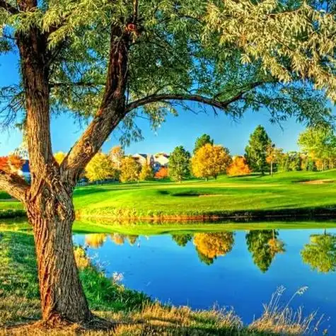 2023年图片唯美最新图片头像119张_风景头像_头像屋