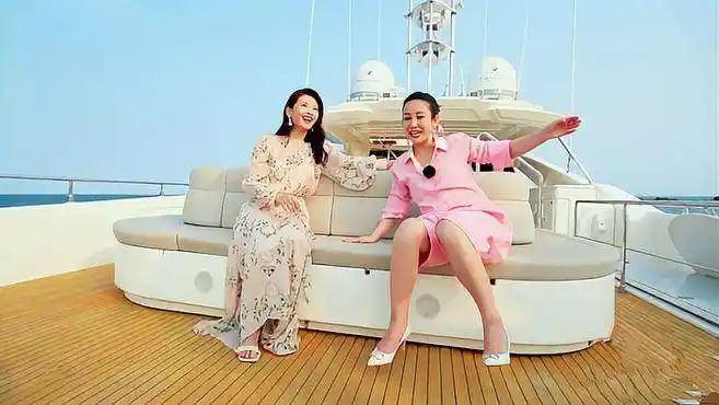 明星媳妇们坐豪华游轮出海玩,秦海璐刘涛举动亮了,真美丨妻子