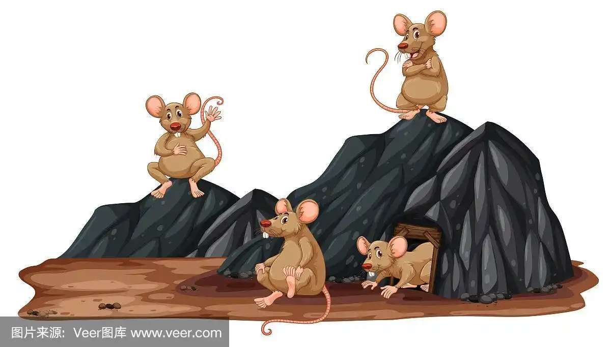 洞,老鼠,白色,白色背景,背景分离