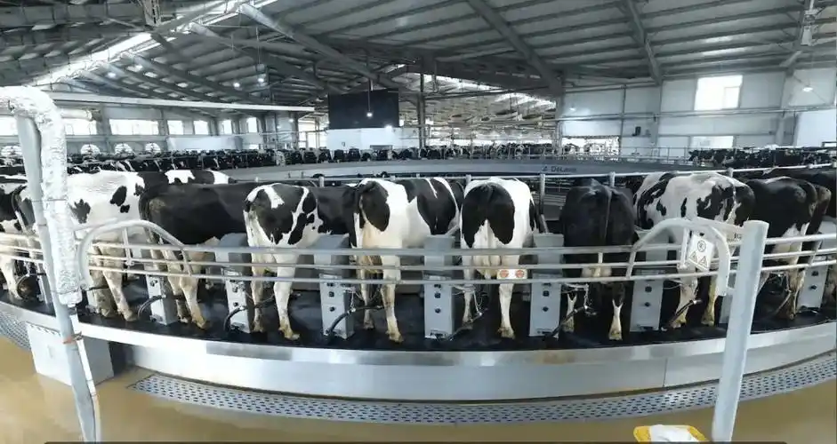 债台高筑的新希望乳业能否找到希望