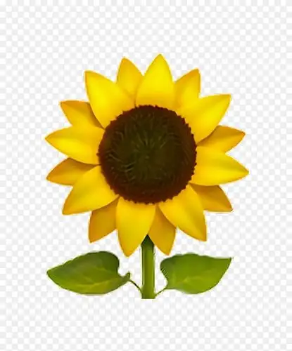 表情符号常见的向日葵贴纸iphone-moji
