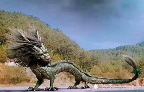 辽宁营口坠龙 - 搜狗图片搜索