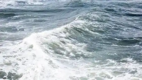 如果地球上的海水都变成淡水,会发生什么?