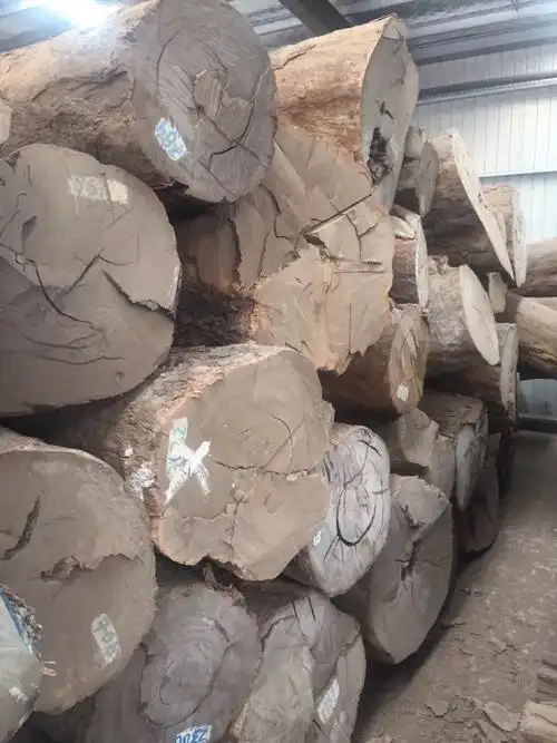 大径皮灰 皮灰原木 皮灰板材 风车木莫桑比克 黑檀 广星木业