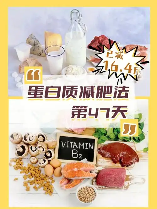 蛋白质饮食法减肥第466766天已减164斤