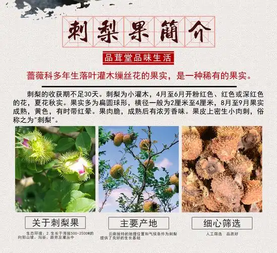 品茸堂 刺莓果 刺梨果 刺酸梨子 刺梨干果 刺梨果干 刺梨茶 刺梨果