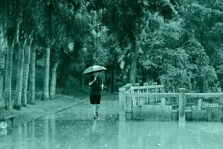 雨中的人