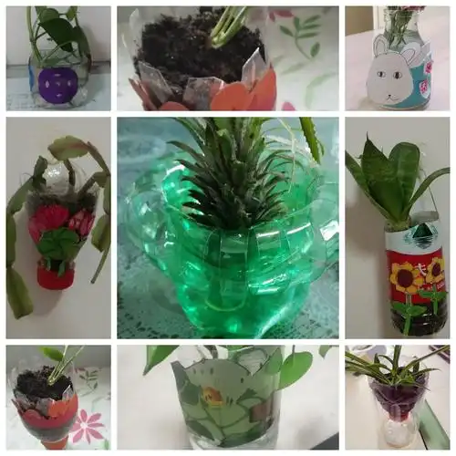 瞧,矿泉水瓶变身成了小花盆,创意还不错吧!