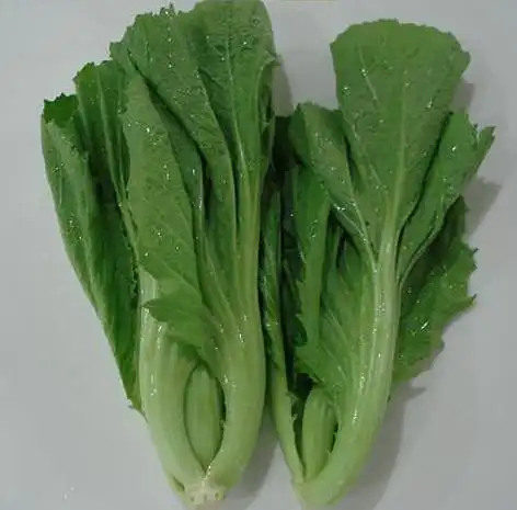 16730芥菜约400克至500克