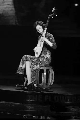 我教你弹《秦淮景》