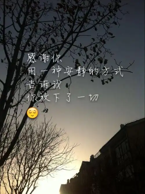 感谢你用一种安静的方式告诉我你放下了一切.