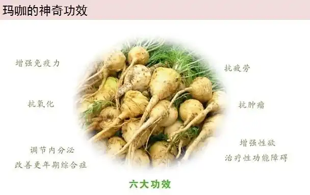 西藏山南黄玛卡干果补肾抗疲改善亚健康半斤起发一斤包邮