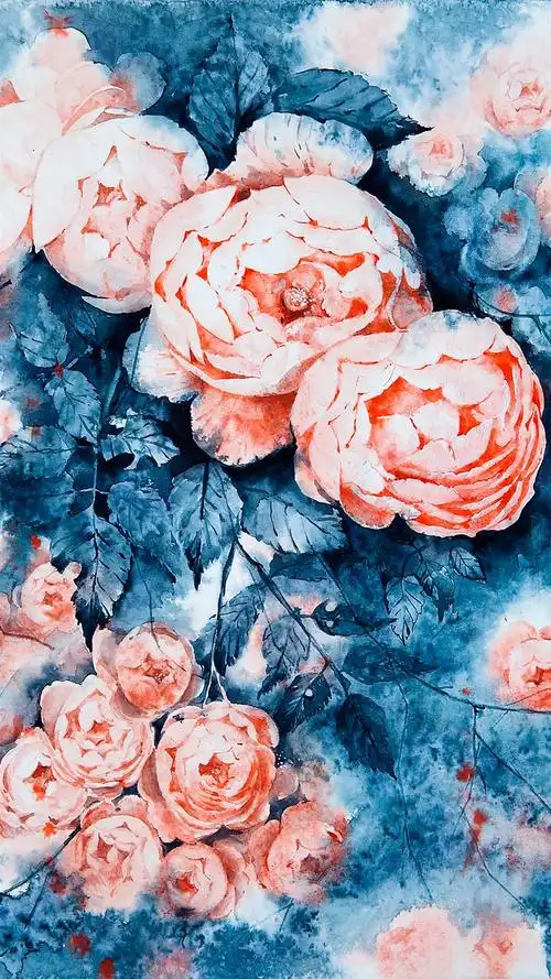 唯美手绘植物插画高清手机壁纸