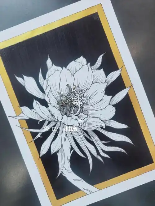 绘画练习黑白装饰画昙花临摹