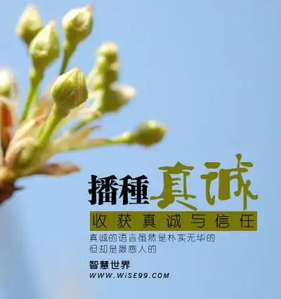 播种真诚收获真诚与信任真诚的语言最能打动人心第2页