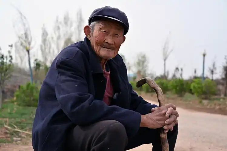 86岁农村大爷打理私家菜园82岁老伴当助手生活自在乐享晚年