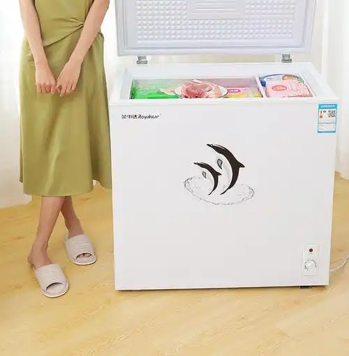 小冰柜家用小型商用大容量全冷冻冰箱迷你两用无霜速冻冷柜136标准款