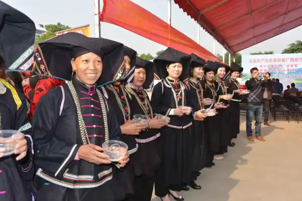 那坡 山歌唱出好酒来