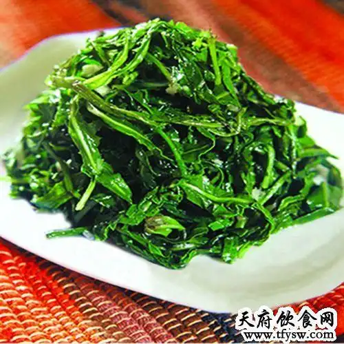 凉拌苦菜凉拌苦菜图片
