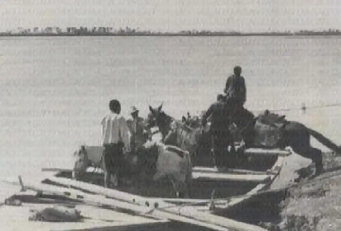 1965年黄河巨龟事件:为何神秘巨龟突然消失?当事人说出真相