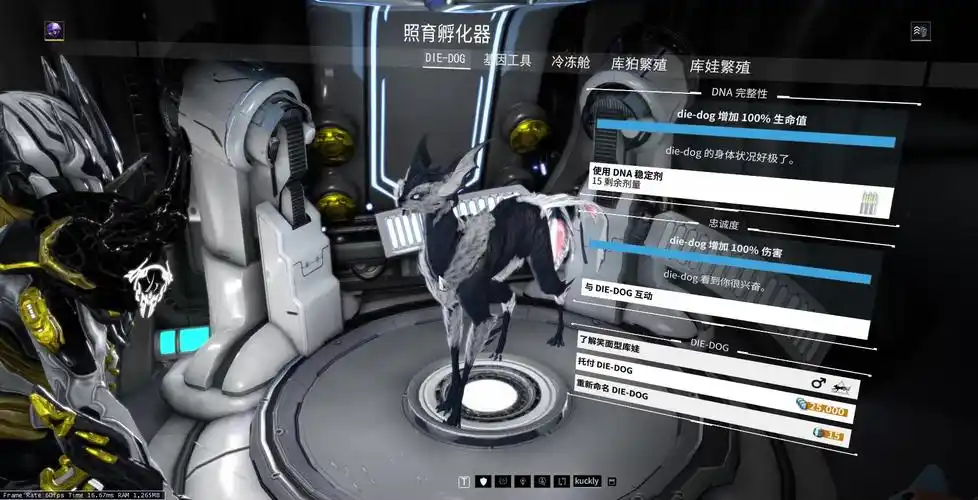 warframe远古之血披着吸血猫皮的笑猫