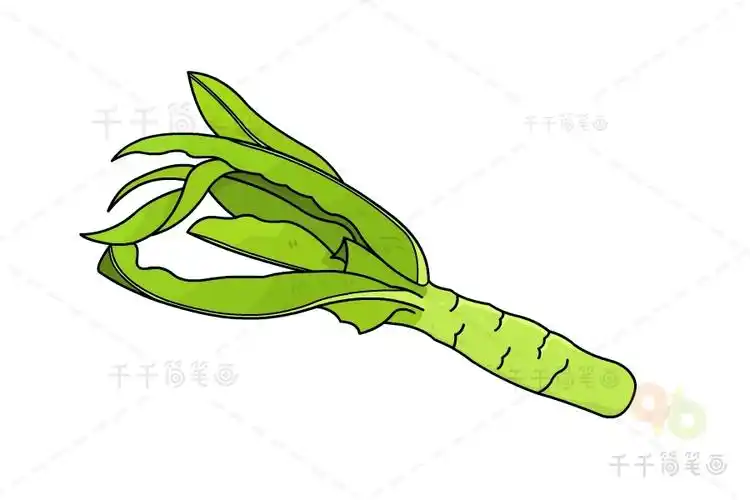 莴苣简笔画图片