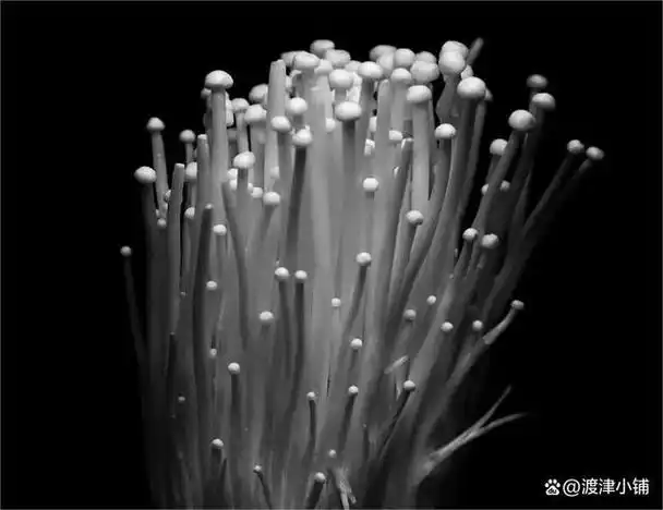 新房"住到烂"才知,这3样东西少往家带,全天都在"释放甲醛"