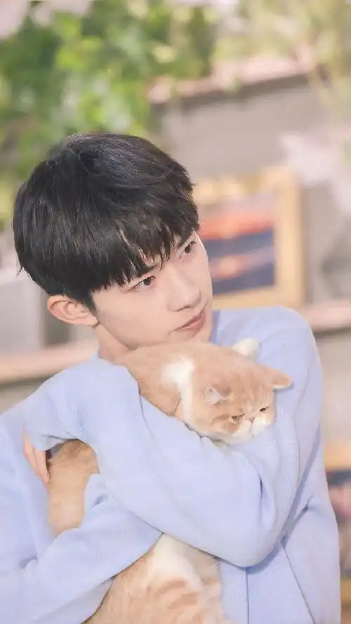 190411  优酷vip会员抱着猫的小男孩 好温柔好温柔视频:易烊千玺