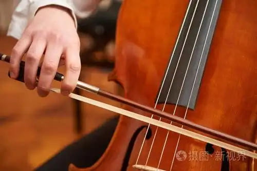 手中的大提琴弓.直射光