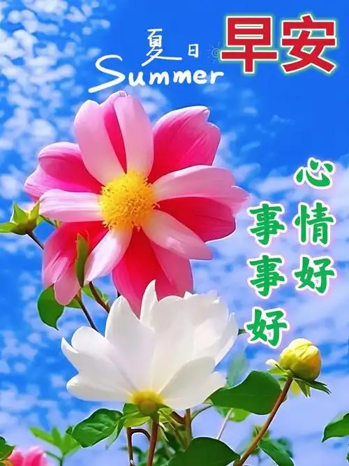 7月2日最新早上好漂亮图片祝福