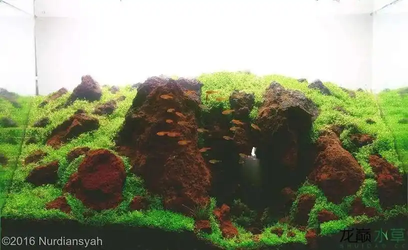 各种火山石造景_腾讯新闻