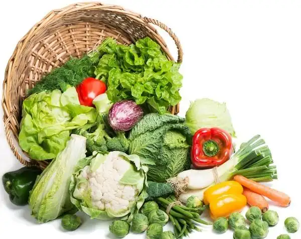 供应农家乐的新鲜蔬菜