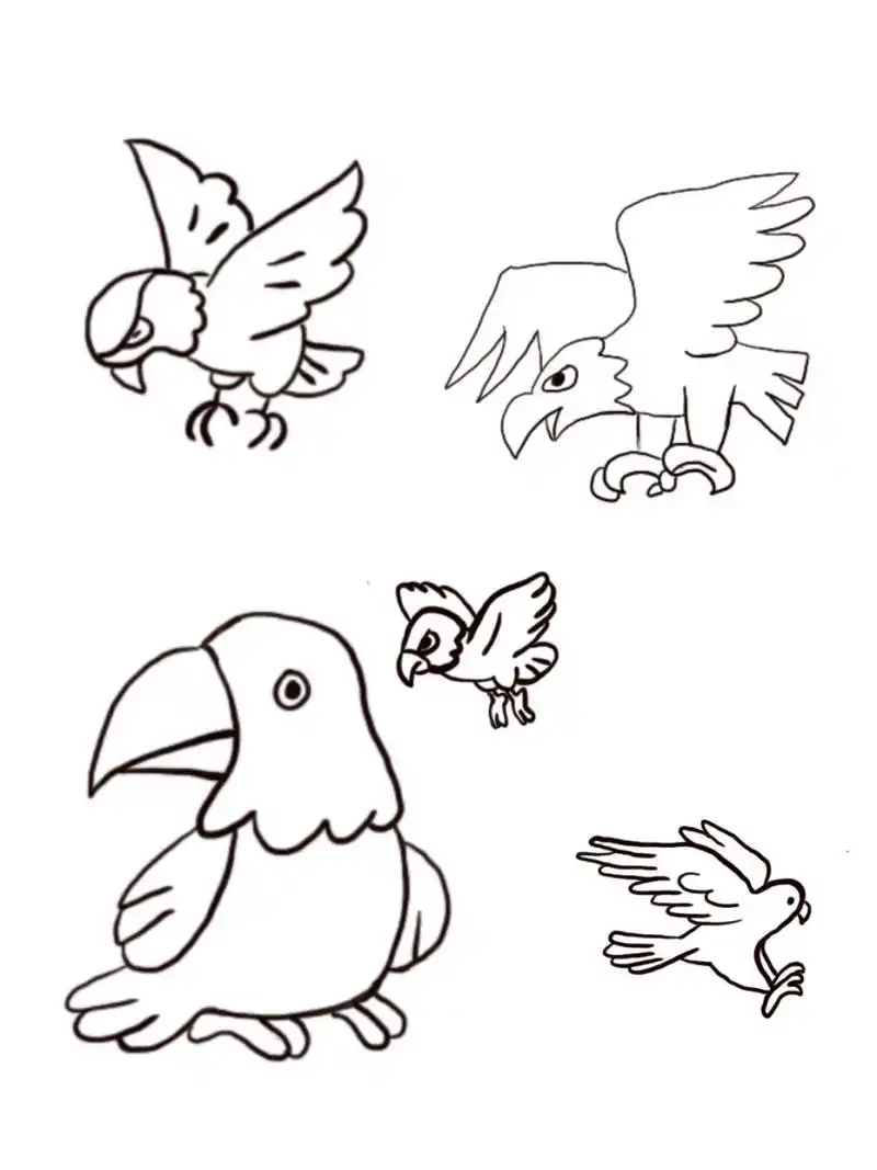 黑白简笔画—鹰 —简笔画练习 —知识普及:鹰是肉食动物,会捕捉老鼠