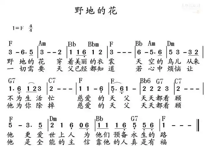 下载野地的花歌谱