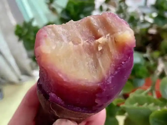 晾晒和剪须须今天我们又开始发货咯好吃的南沙一点红每天都不能少了它