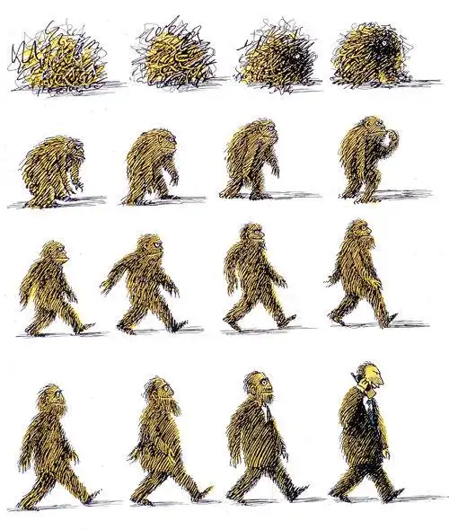 为什么人类是由猩猩变来得