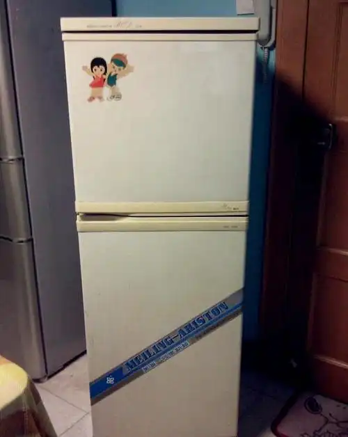 还记得你家第一台冰箱是什么牌子的吗?