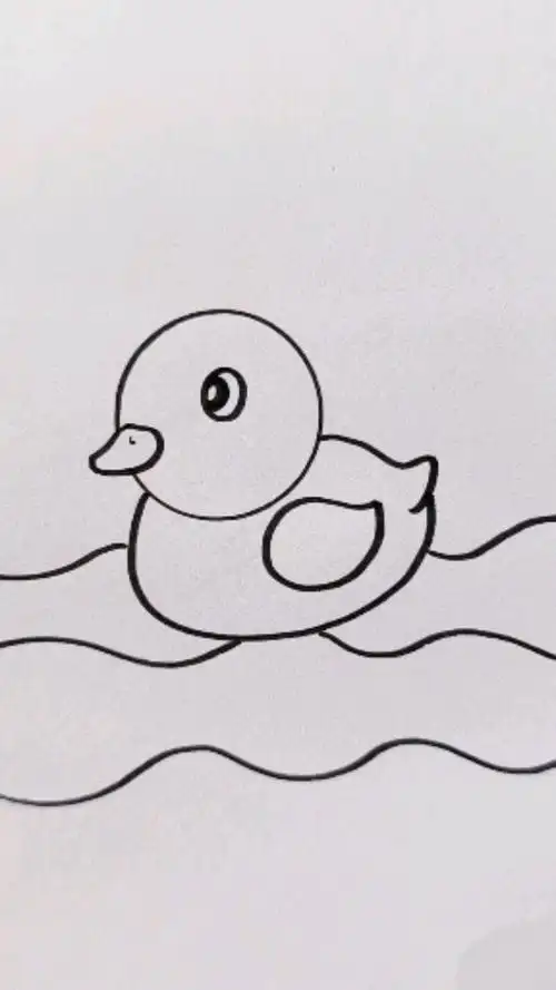 简笔画#小鸭子简笔画