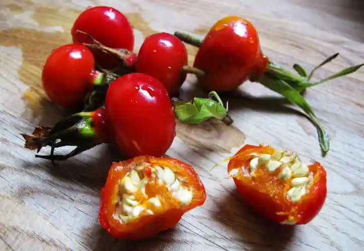 了解玫瑰果的功效和食用禁忌